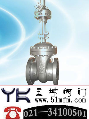 点击查看Z541W伞齿轮不锈钢闸阀大图