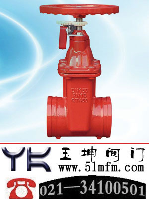 点击查看Z81X沟槽闸阀大图
