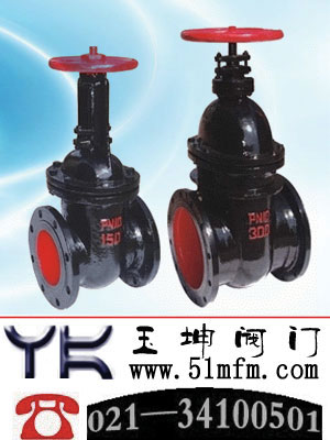 点击查看Z45T/Z45H/Z41T/Z41H楔式铸铁闸阀大图