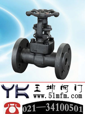 点击查看Z41Y锻钢法兰闸阀大图
