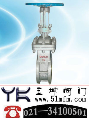 点击查看PZ41H两相流排渣闸阀大图