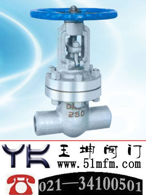 点击查看Z62Y焊接闸阀大图