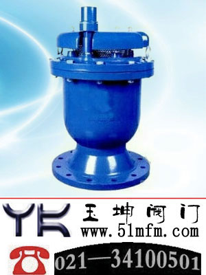 点击查看GWP、D-060、D-062高流量组合排气阀大图
